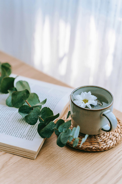 Canceled- Recharge and Renew: A Workshop on Self-Care and Burnout Reduction 2024