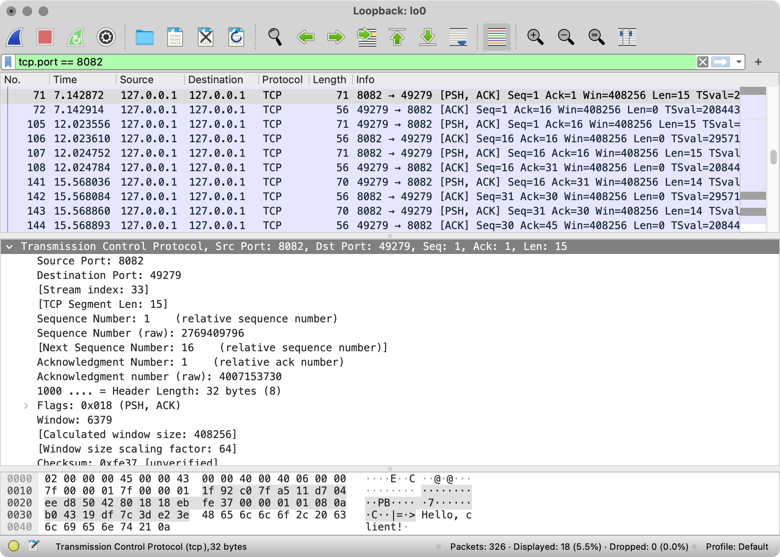 Example of a segment carrying payload in the Wireshark log Example of a segment carrying payload in the Wireshark log