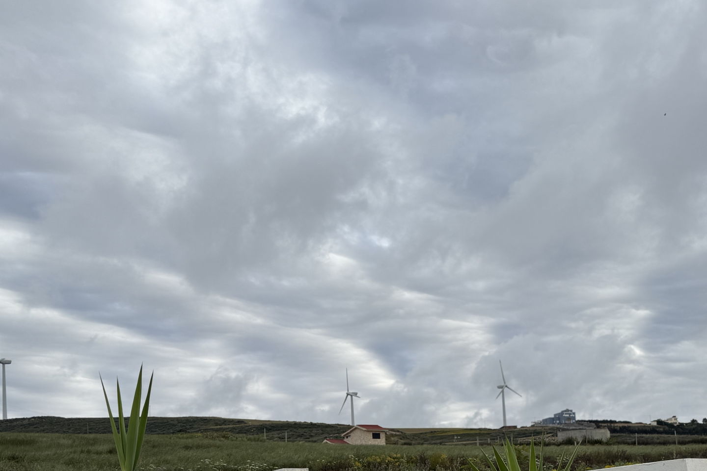 slider-image