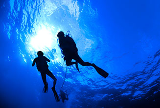 Full-day scuba-diving boat trip from Maafushi