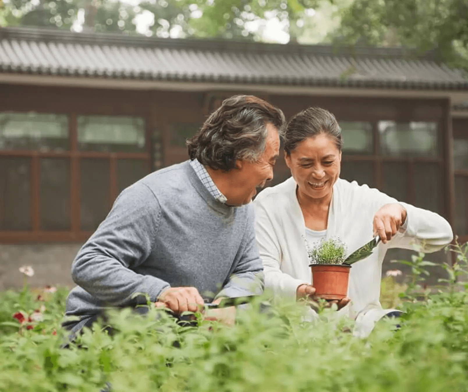 Asian couple happily gardening outside