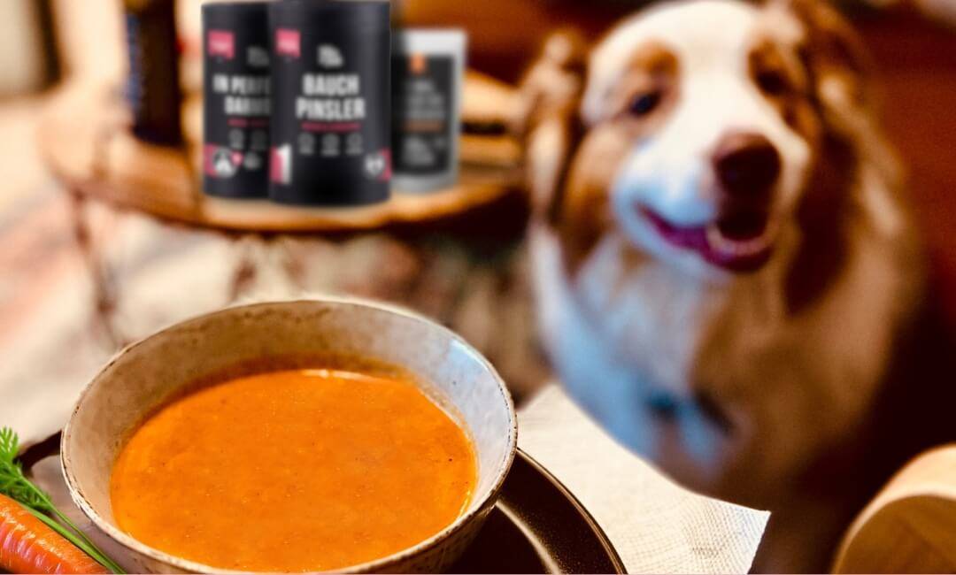 Hund frisst Magen-Magie-Box Produkte – tägliche Routine für gesunde Verdauung