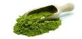 large wooden scoop of green superfood powder, a wheat grass supplement