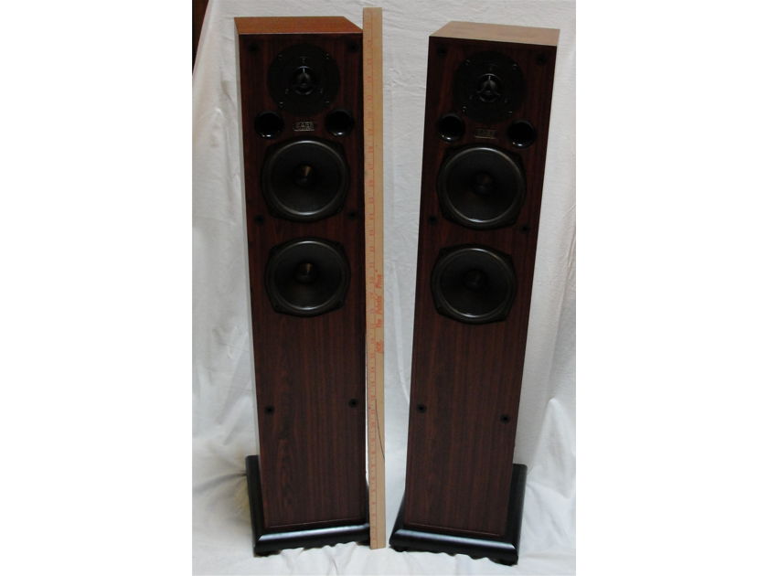 Acoustic Energy AE109 Priced to Sell - Excellent British Floorstanding Speakers