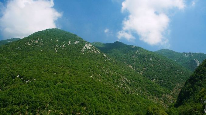Green mountains of Lebanon at summertime
