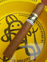 Cigar Session Photo