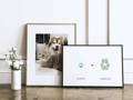 cat paw print and dog paw print framed keepsake leaning on wall in front of photo of cat and dog