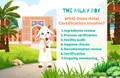 What Does Halal Certification Involve? | The Milky Box