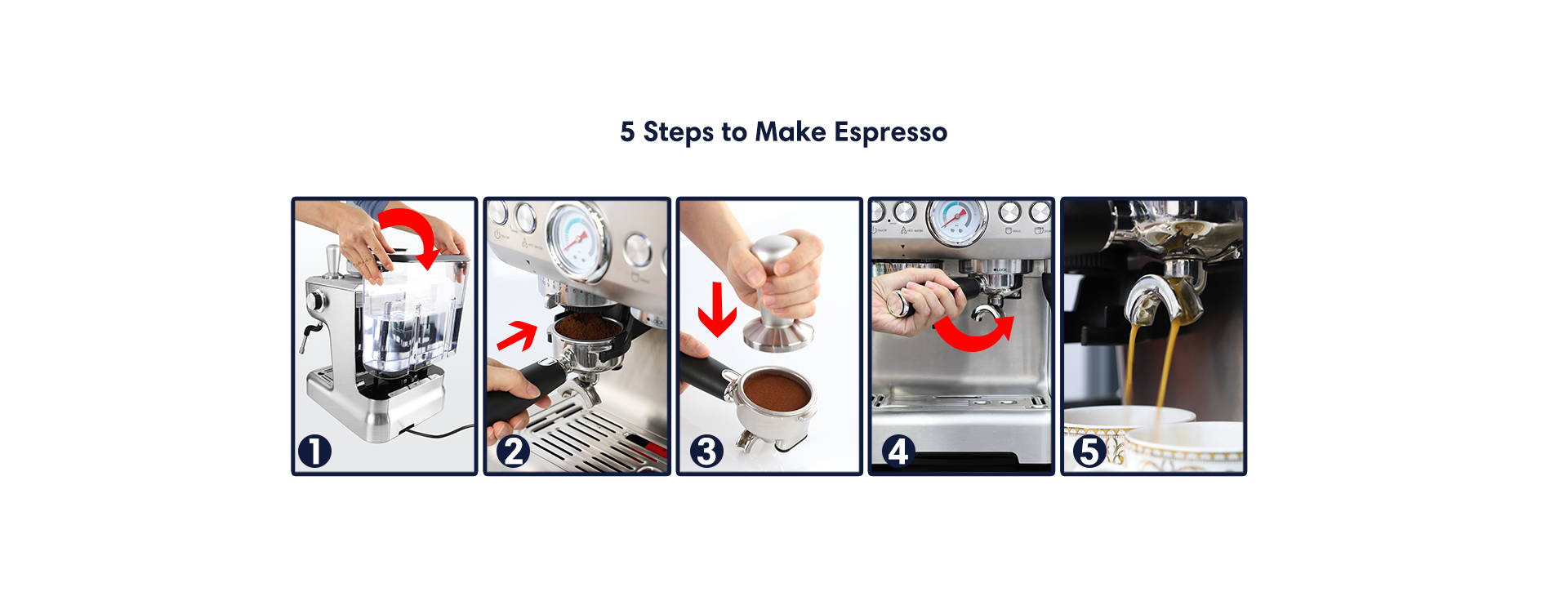Download sincretive barista book