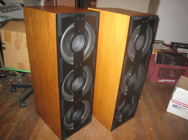 ENTEC SW-1 POWERED SUBWOOFERS  AUDIOPHILE QUALITY, PAIR...