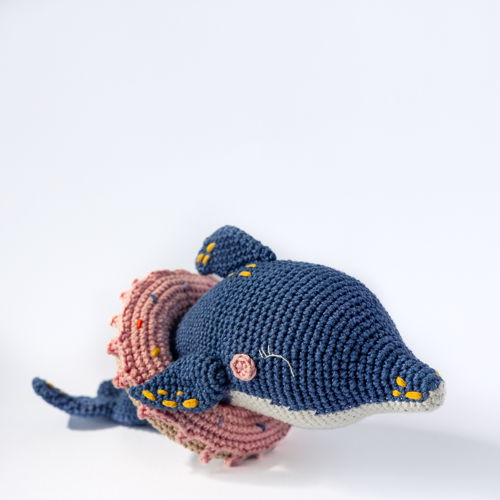 Donut the Dolphin