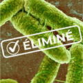 öte e. coli eau