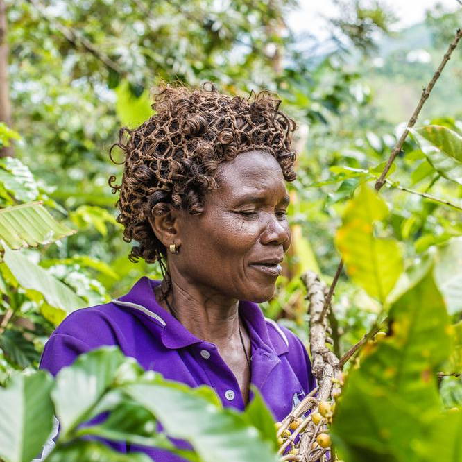 Dignified farmer - Ms Victorina Kanane