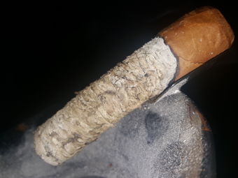 Cigar Session Photo