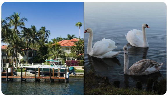 featured image for story, Weston FL Waterfront Homes for Sale Today