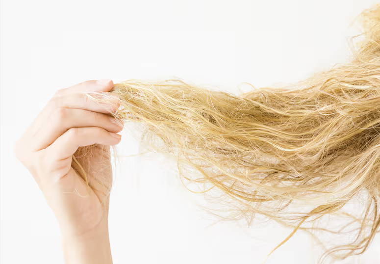 Cheveux secs et déshydratés : causes et solutions