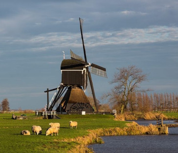 Из Амстердама на велосипеде по фермам, рыбацким деревням, каналам и дамбам