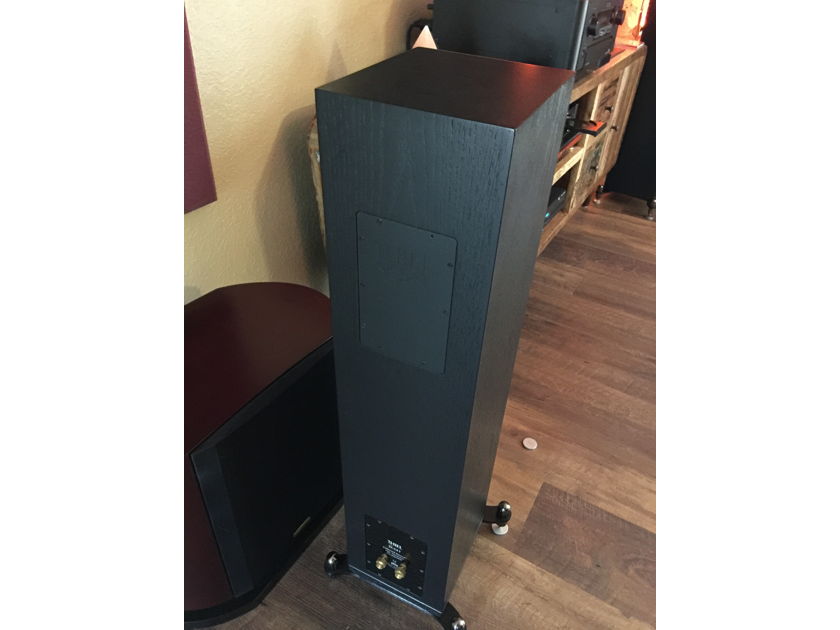 Thiel Audio  SCS4T  Floorstanding Speakers - SWEET!