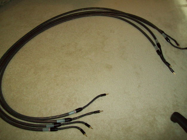 Tara Labs The One 10 ft Pair/ Speaker Cables,Real Game ...