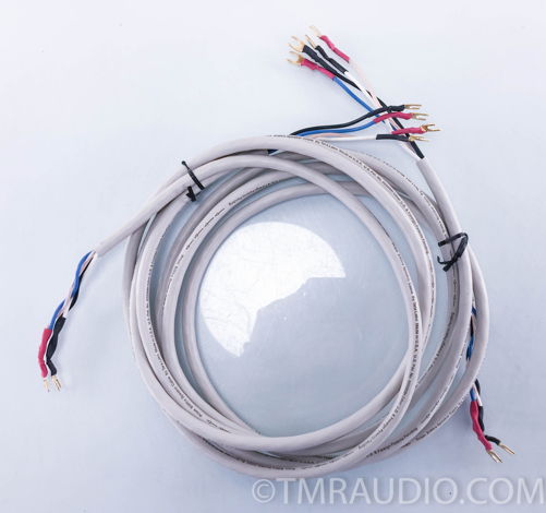 Tara Labs Prism Bi-Wire Speaker Cables; 10 ft. Pair; S...
