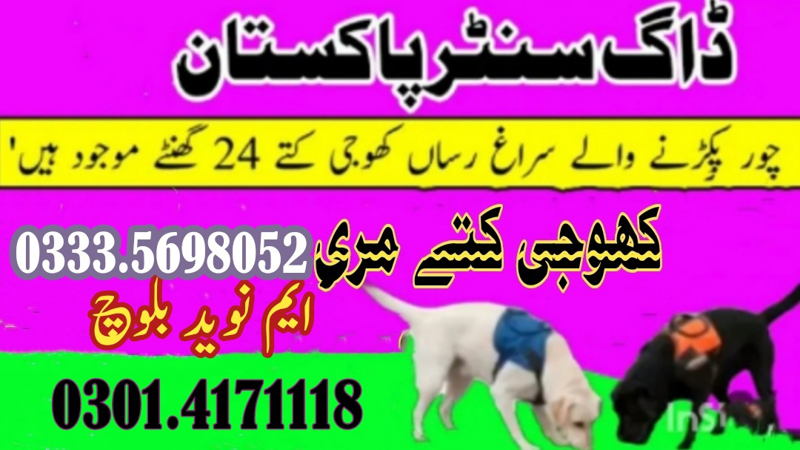 https://ucarecdn.com/282019a3-a2d9-4a8b-ba99-df8d7b60d95f/ cover