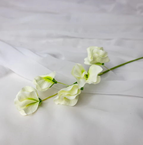 White Sweet Pea Soft Touch - Realistic Artificial Flowers - Image 2