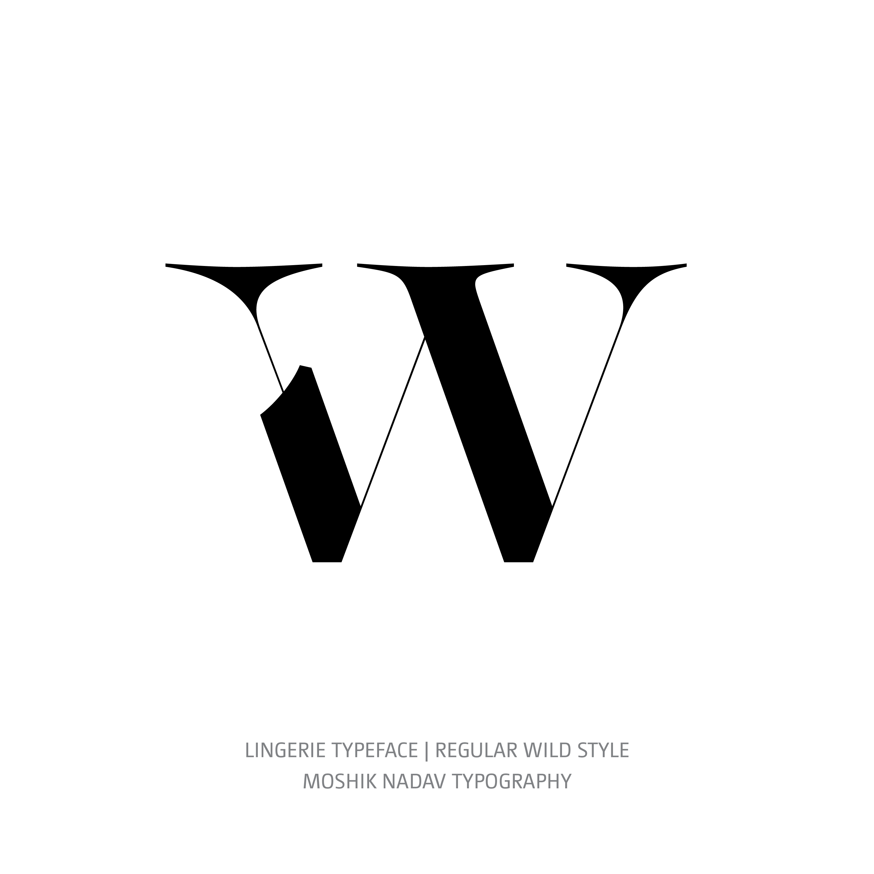 Lingerie Typeface Regular Wild w