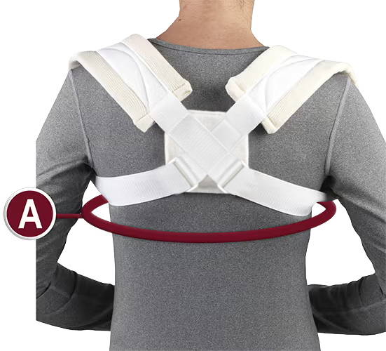 CLAVICLE STRAP Measurement Location