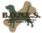 Beagles of New England States  (B.O.N.E.S.) logo