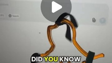Main Content Image