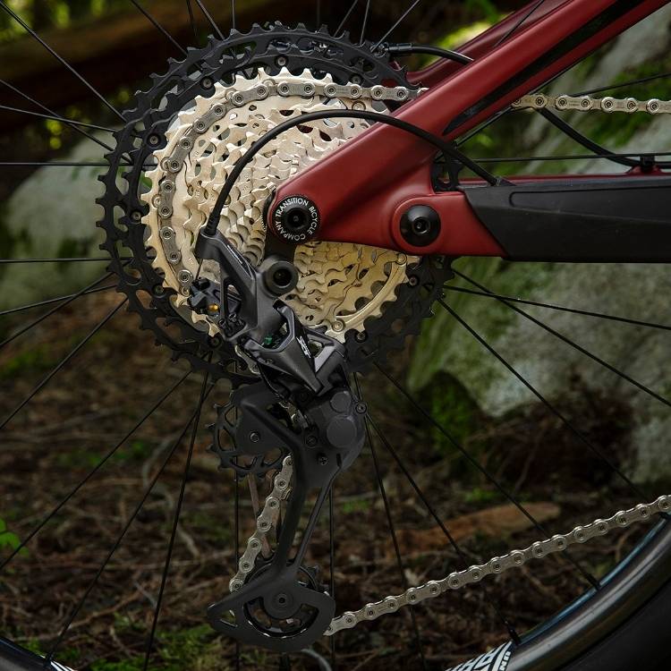 Dérailleur arrière Shimano XT M8100 monté sur un VTT avec cassette 12 vitesses, photographié en forêt