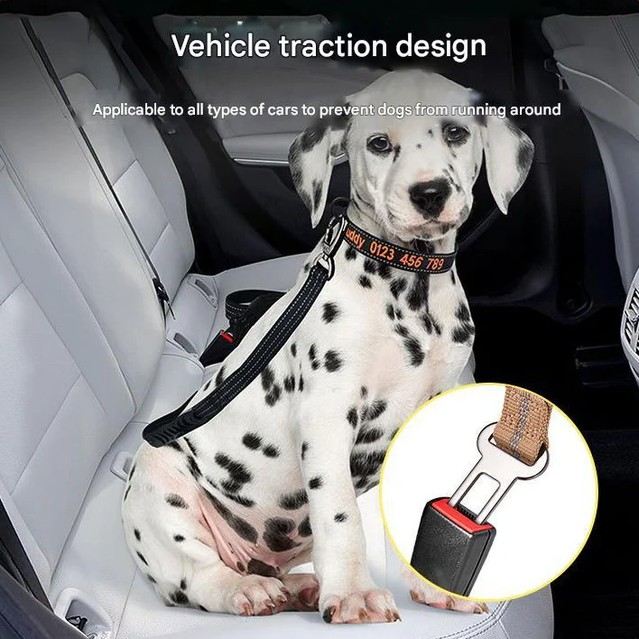 Shock Absorbing Dog Leash with Reflective Stitching - 135cm for Small to Large Dogs - Image 5