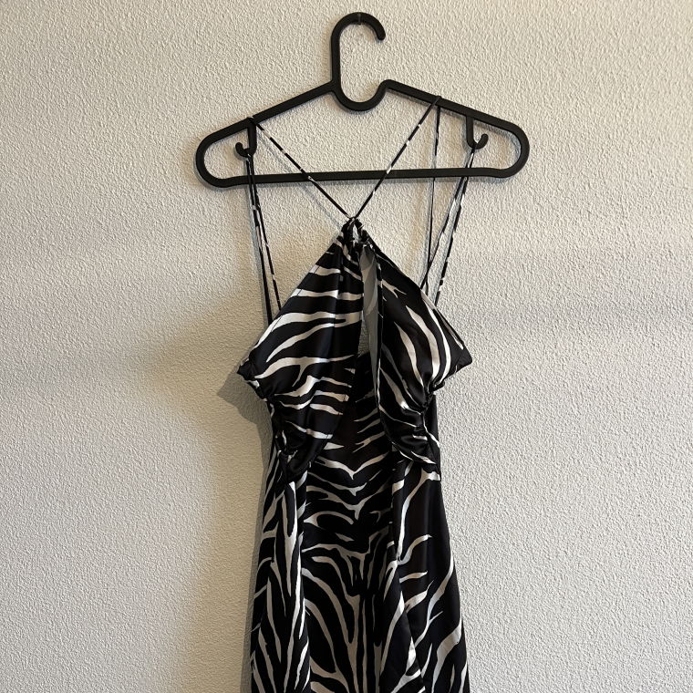 Kurzes Zebra Partykleid von Zara 🦓
