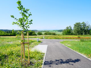 Krásné pozemky na samém okraji obce Malíkovice, k.ú. Hvězda