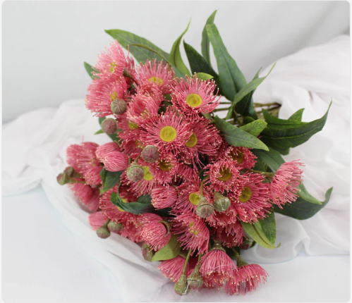 Australian Pink Gum Blossom Stem - Realistic Artificial Flowers - Image 5