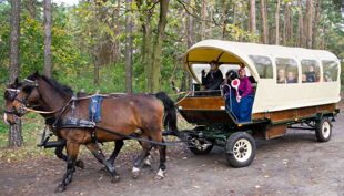 haus natur und umwelt kremser tierische geburtstagsparties