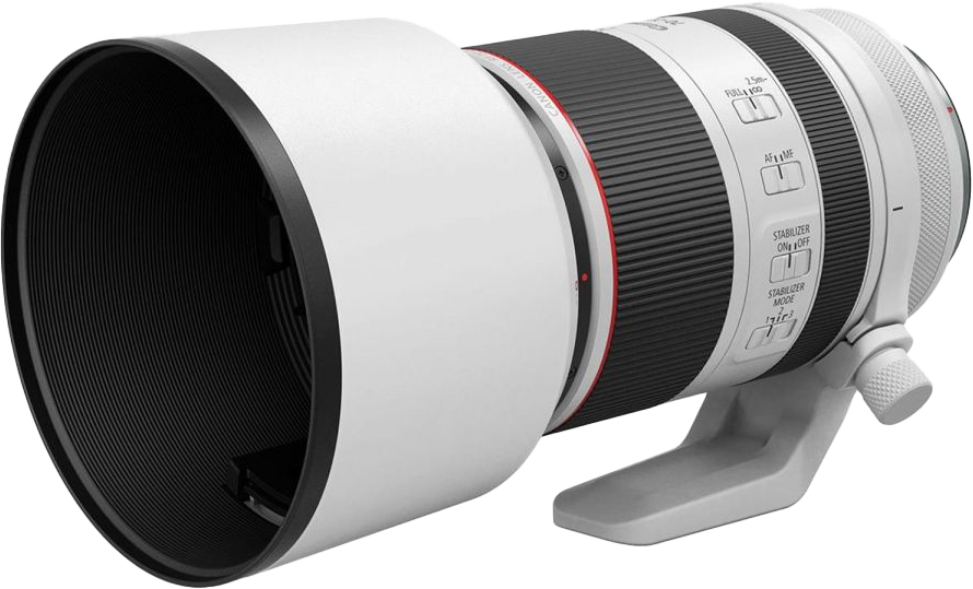 A Canon RF70-200mm f/2.8 L IS USM lens