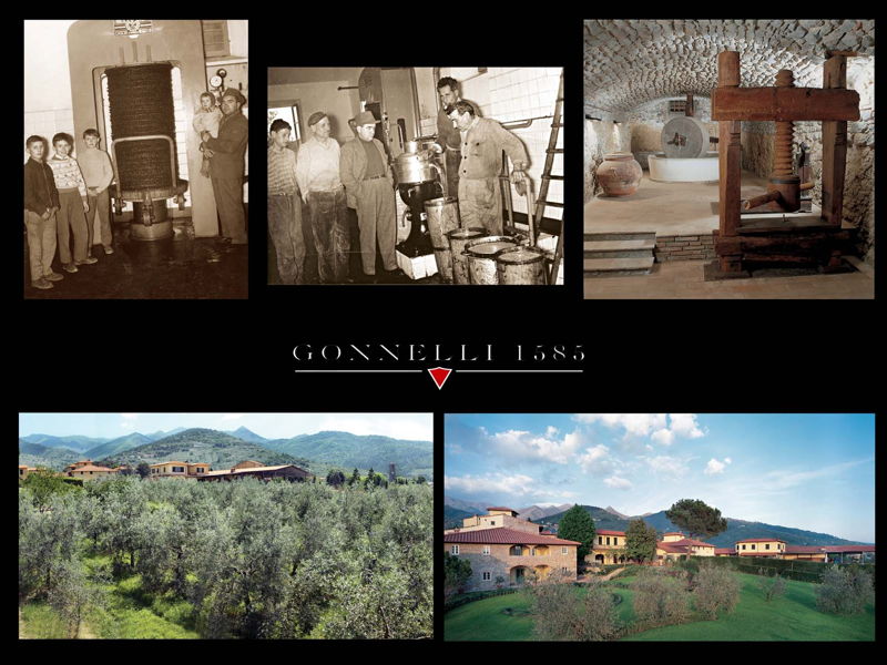 Food & Wine Tours Reggello: Valdarno and Valdisieve: extravirgin olive oil tasting