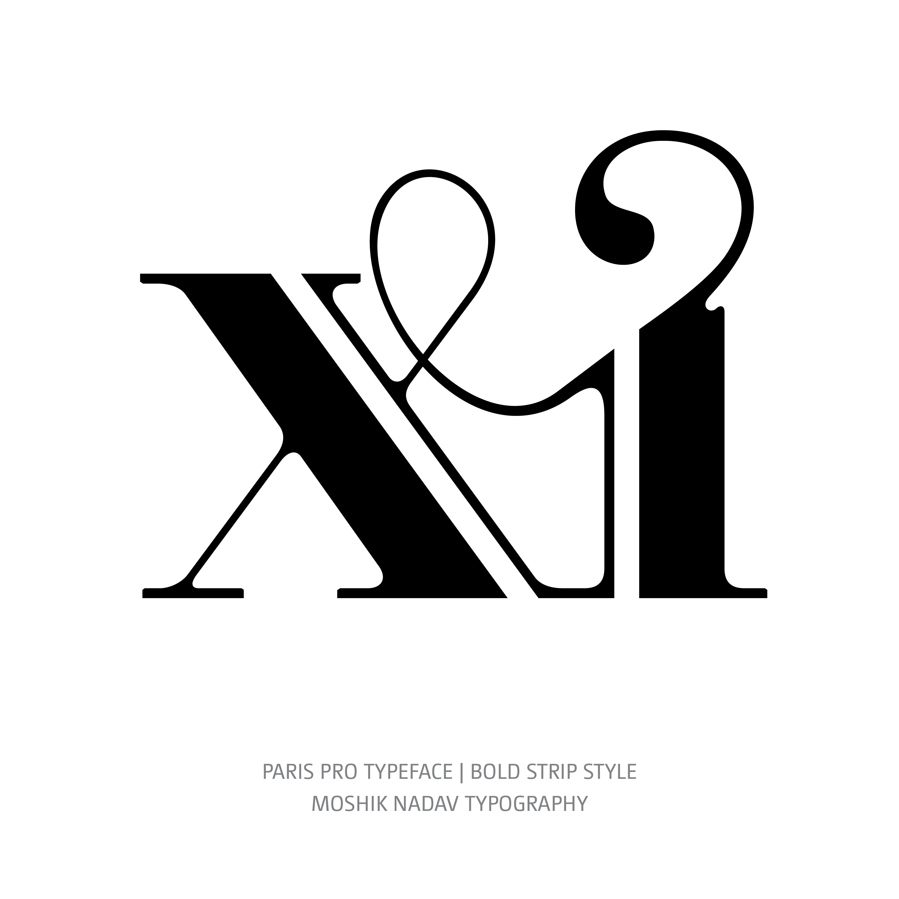 Paris Pro Typeface Bold Strip xi ligature
