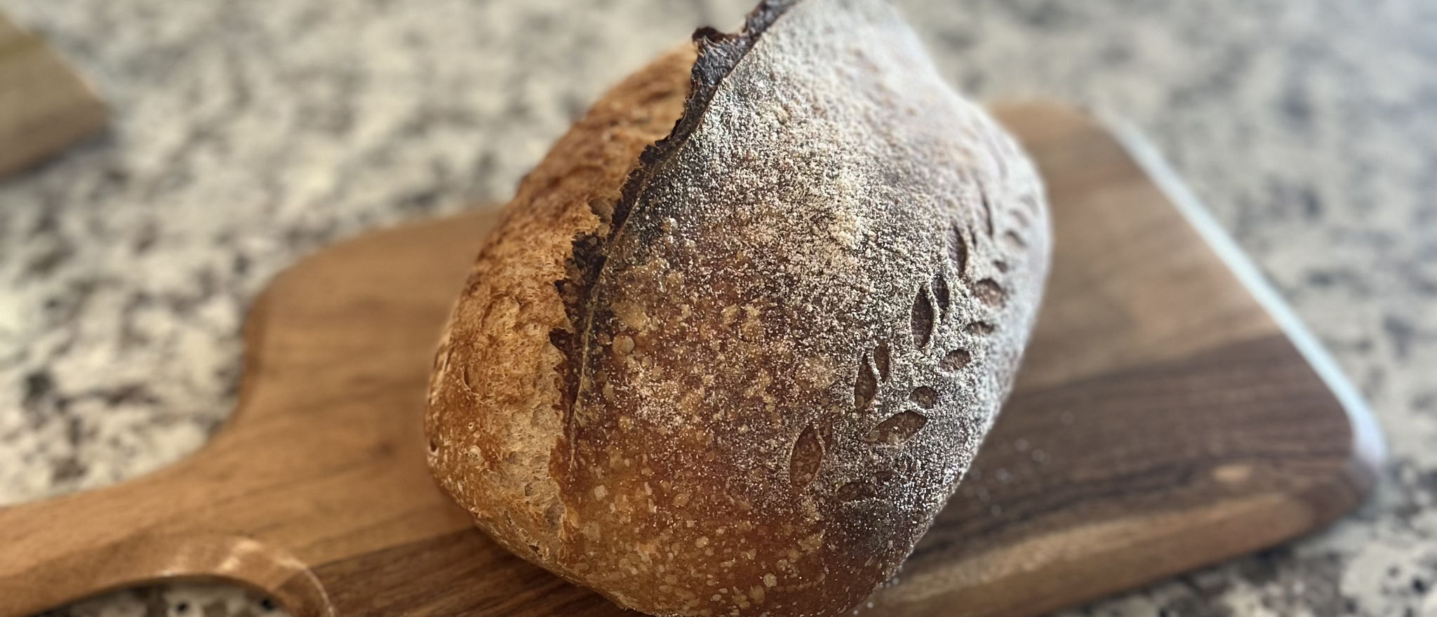 Jessica | SoFlo Sourdough — photo from hotplate.com