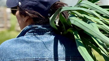Main Content Image