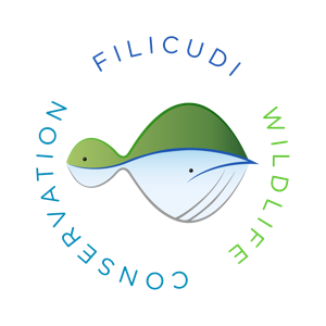Guest Hub - Filicudi WildLife Conservation