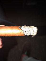 Cigar Session Photo