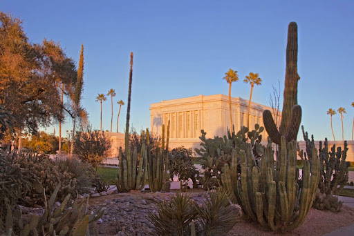 Cacti and desert greenery in the foreground of the Mesa Temple.