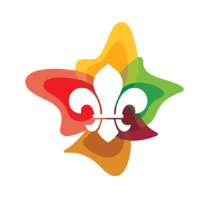 Hemmant Scout Group