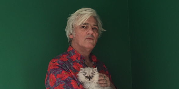 Robyn Hitchcock  promotional image