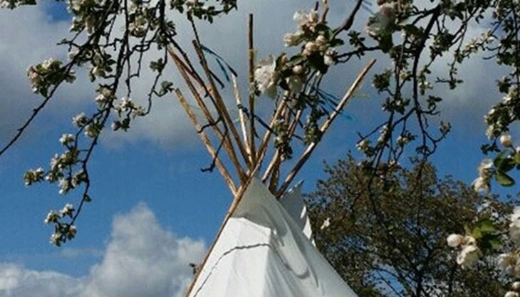 tipi weis