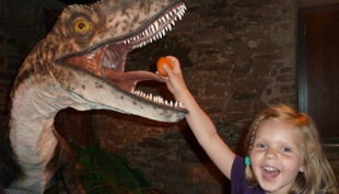 wasserschloss werdingen dino füttern