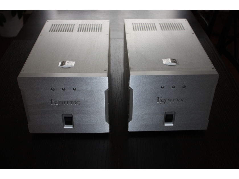 Esoteric A-80 Monaural Amplifier pair Near Mint condition