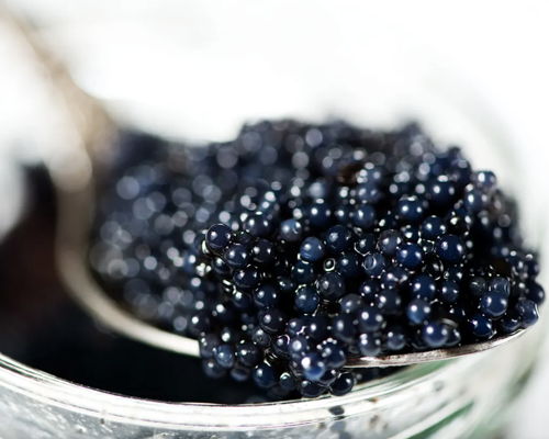 Corsi di cucina Cavazzona: Caviale e aceto balsamico